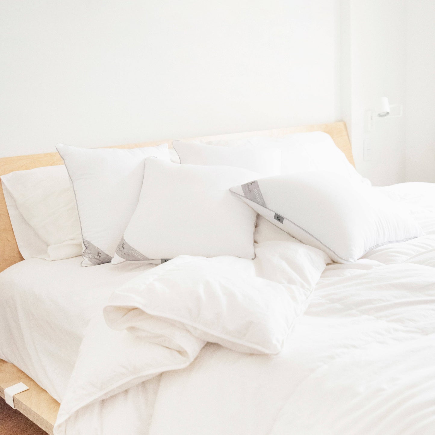 Delirio Pillow Inserts, 20x20 inch