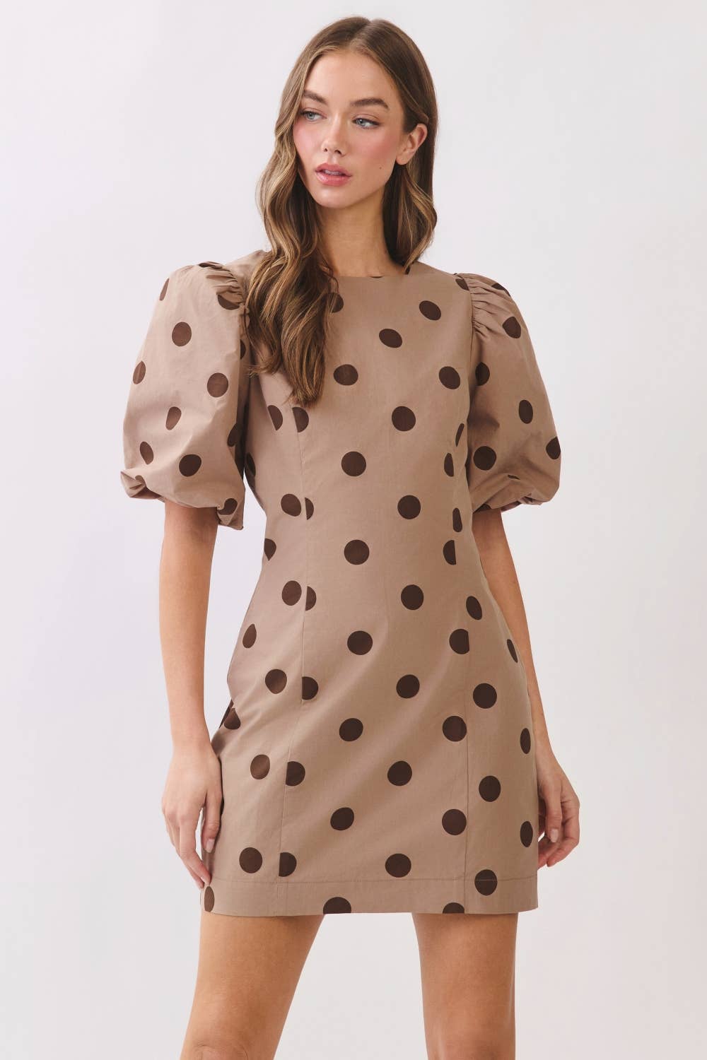 Polka Dot Dress - Taupe and Chocolate