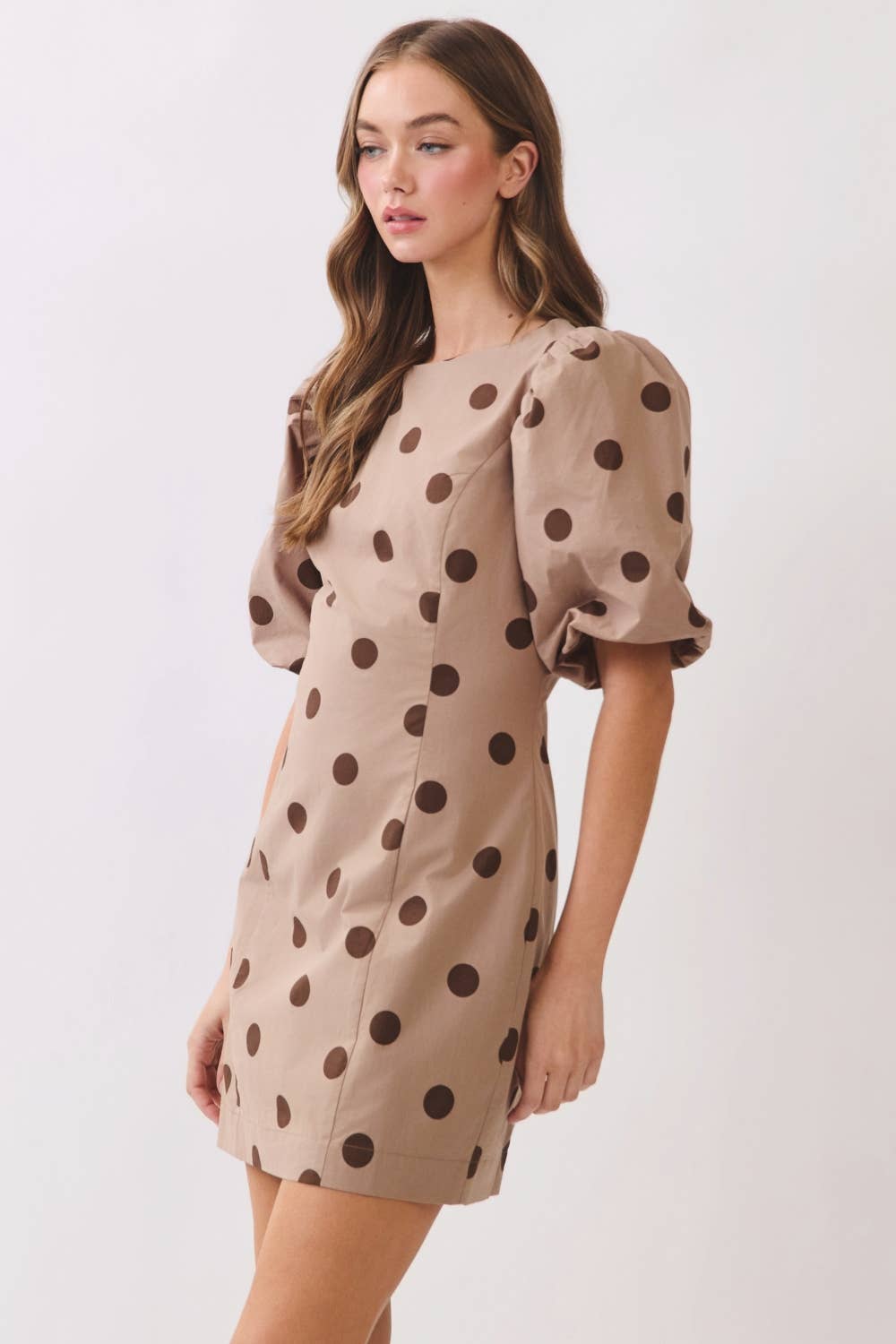 Polka Dot Dress - Taupe and Chocolate
