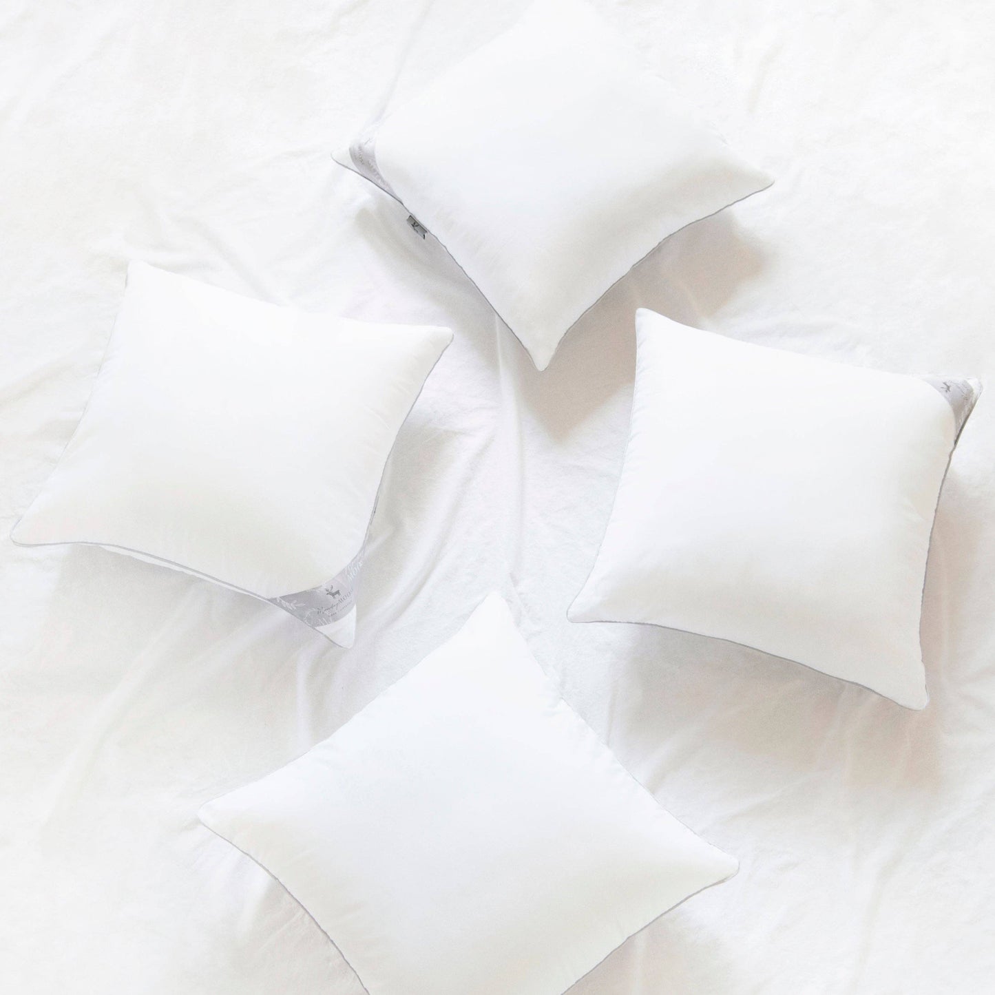 Delirio Pillow Inserts, 20x20 inch