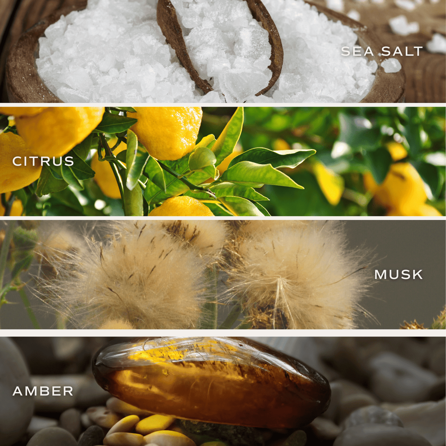 Something Blue Candle, Blue